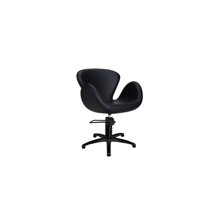 Salon Chairs