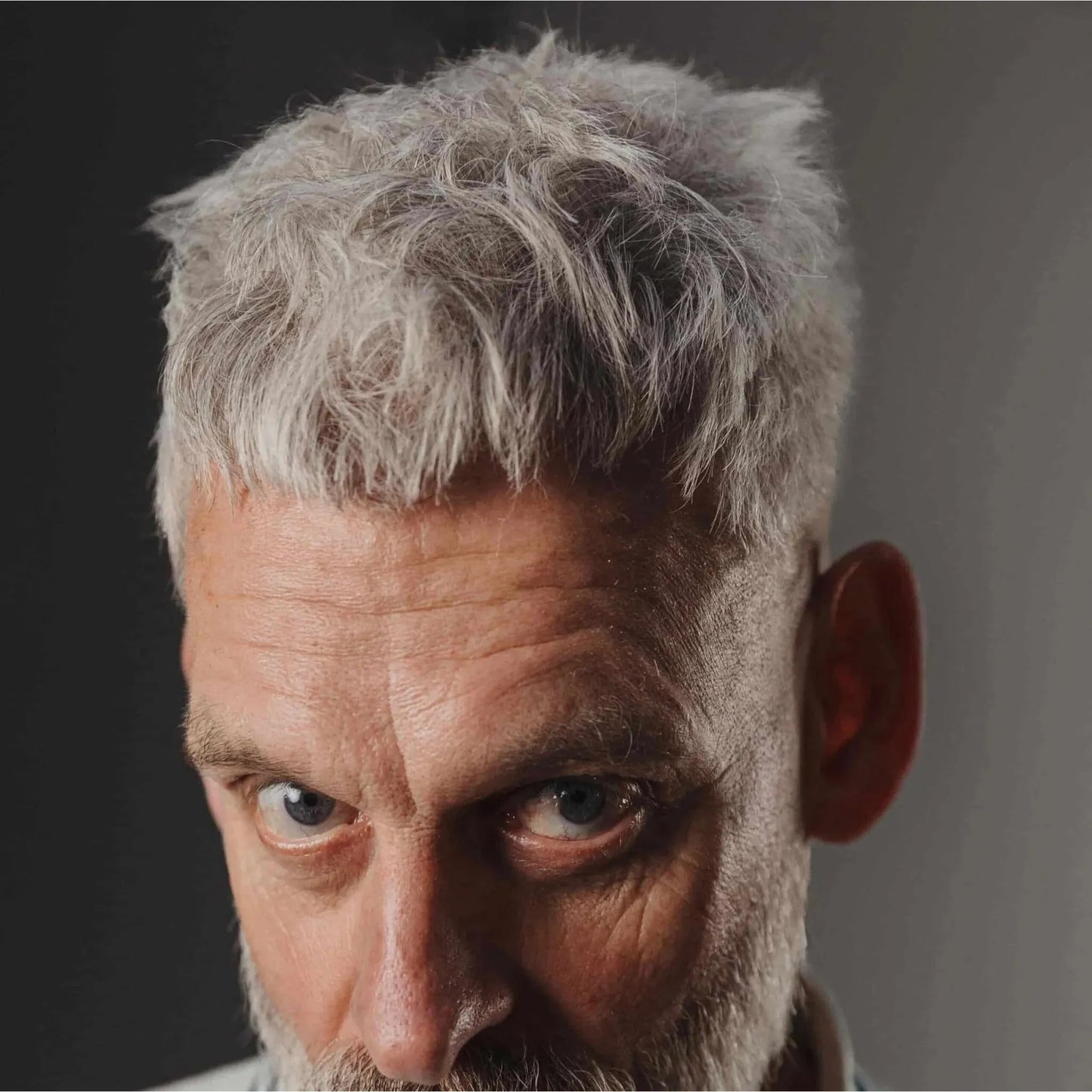 Donkere hertenstylingpoeder 20g