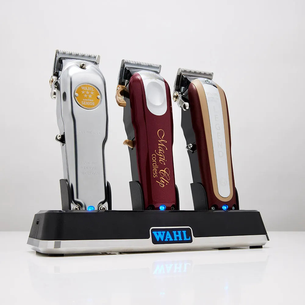 Wahl Multi-Charge Powerstation