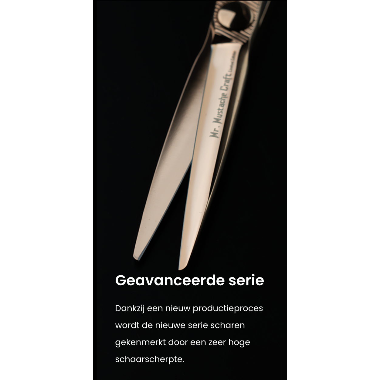 Mr Mustache Hairdressing Scissors Craft Rose Gold