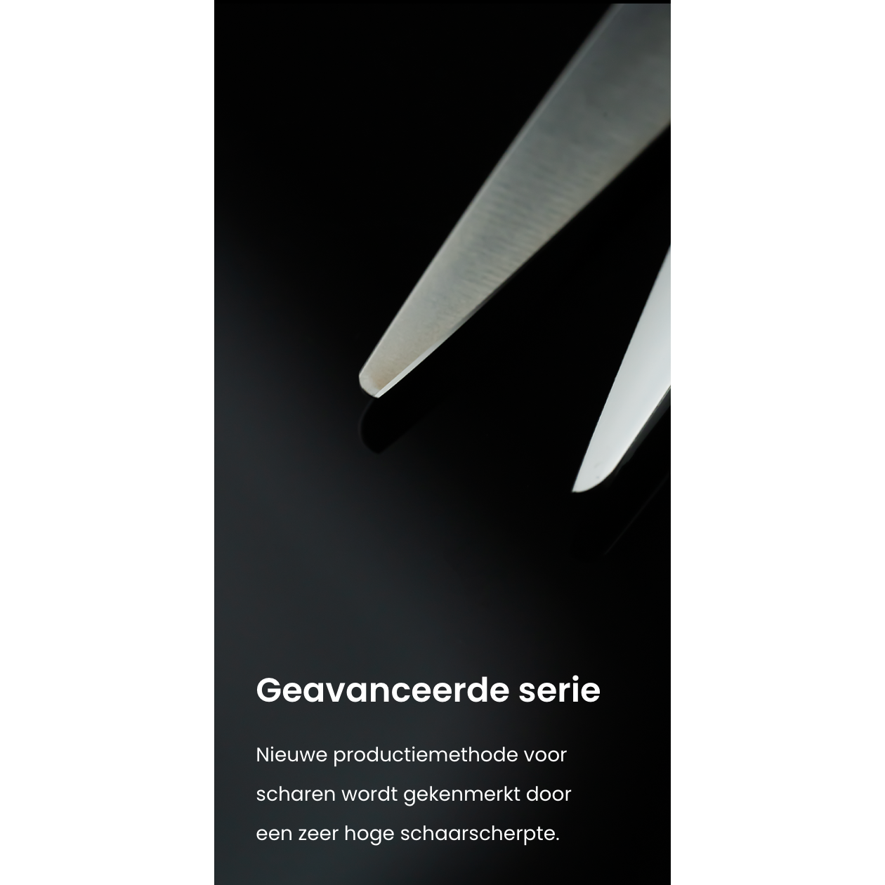 Mr Mustache Friseurschere Craft Silber