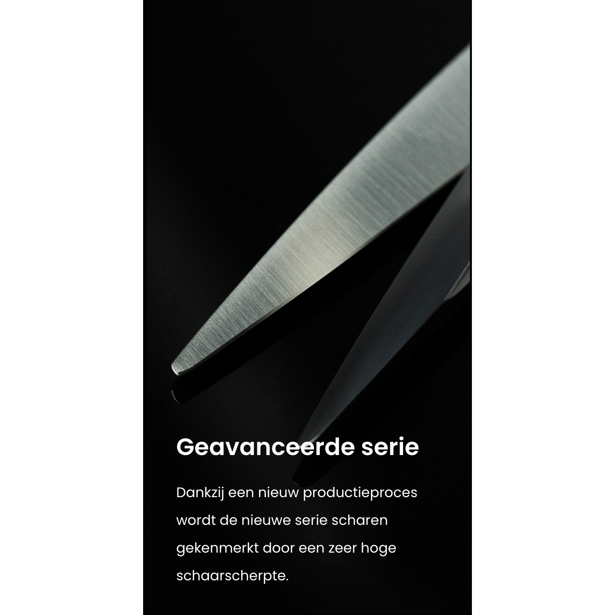 Mr Mustache Friseurschere Crusader 6,3"