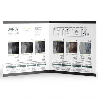 DANDY Hair Color Color Chart