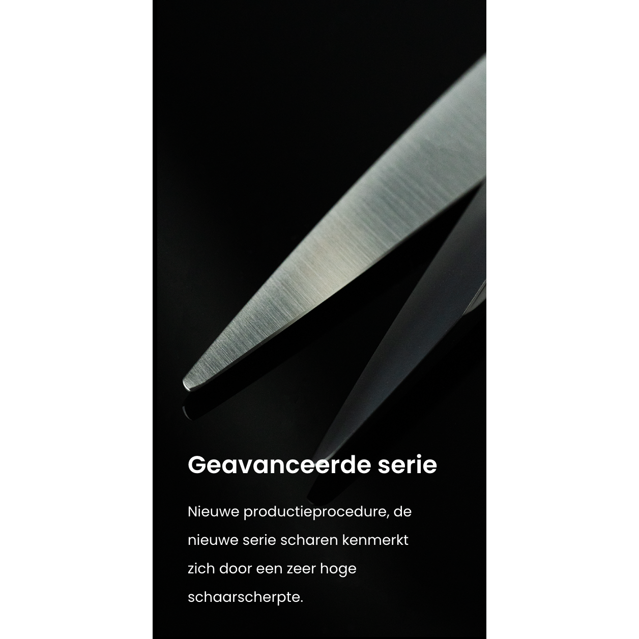 Mr Mustache Hairdressing Scissors Engraved Black 6.0"